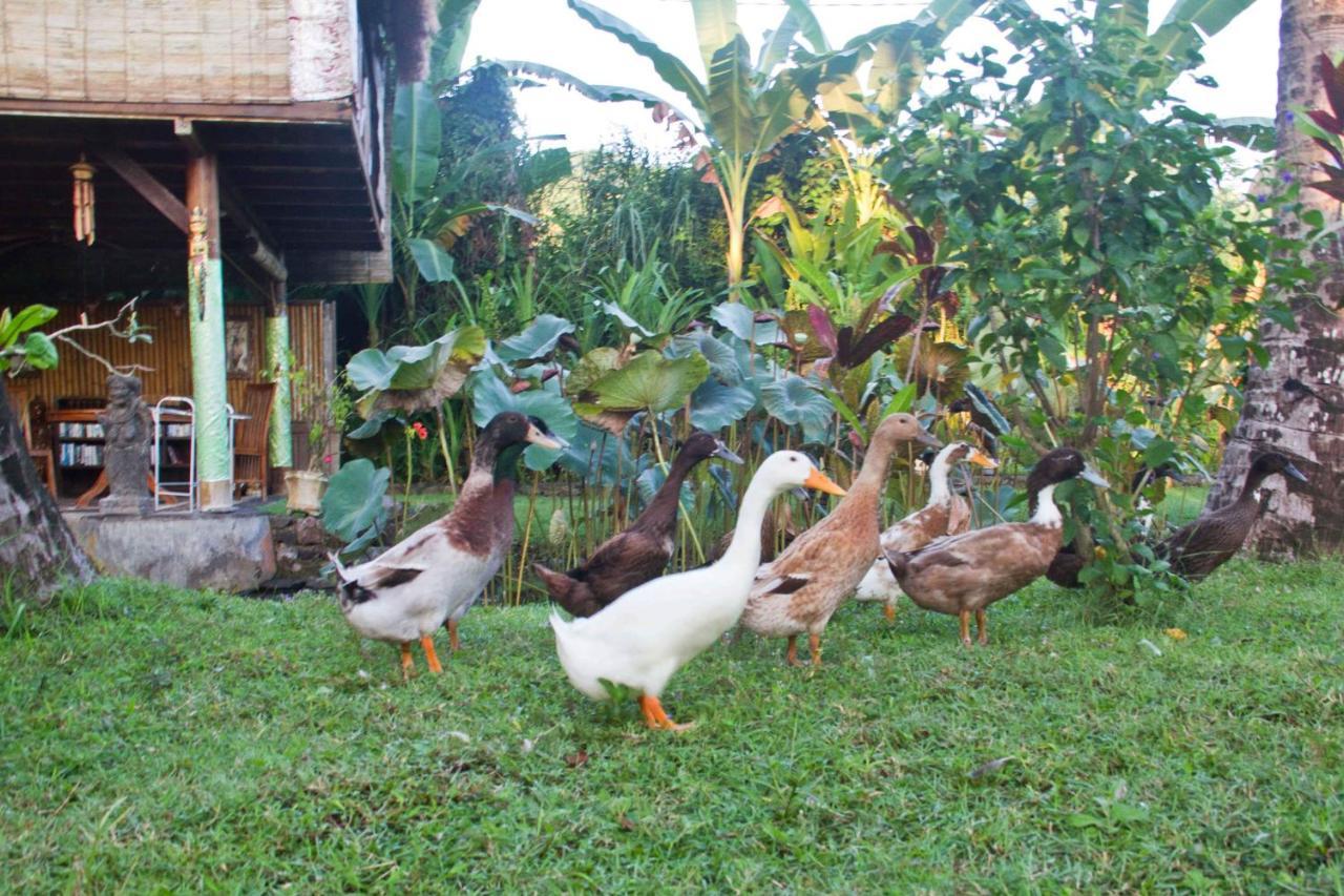 Jasri Dalem Surf Retreat Exterior foto